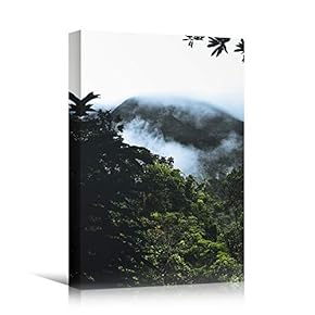 signwin Canvas Wall Art Foggy Forest Cool Dramatic...