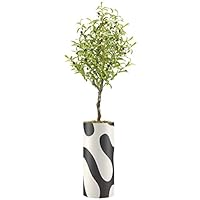 SIGNWIN Olive Tree with Black & White Swirling Color Block Pattern Vase Geometric Shapes Minimalism Zen Relax/Calm Dark for Living Room, Bedroom, Office - X-Large 5 Feet (60
