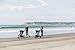 Bumbleride Speed Jogging Stroller