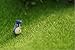 SUN-E 2 Pcs Life-Like Fairy Artificial Grass 12''x 12'' (30 X 30CM) Miniature Ornament Garden Dollhouse