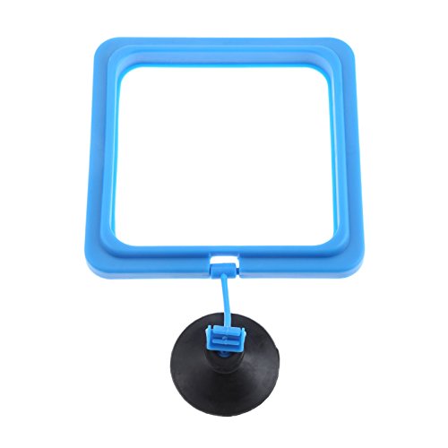 1 Mtsooning+Aquarium+Feeding+Station+Floating