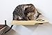 CatastrophiCreations Cat Dining Table Handcrafted Wall-Mounted Feeder Shelf
