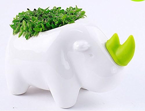 SPARIK ENJOY New Decorative Rhino Design White Mini Ceramic Plant Flower Pot Succulent Planter (Rhinoceros)