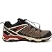 Salomon X Ultra 3 GORE-TEX Men's Hiking Shoes