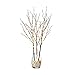 Hairui Lighted Brown Twig Branches Plug in with Dimmer and Timer 30IN 150 LED Fairy Lights, Lighted Willow Branches for Indoor Outdoor Spring Christmas Room Wedding Decoration (Vase Excluded)