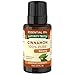 Nature's Truth Essential Oil, Cinnamon, 0.51 Fl. Oz