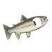 Rainbow Stainless Steel Trout Fish Bottle Opener Fridge Magnet Cool Shiny