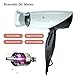 Wazor Pro Professional 1875W Tourmaline Ceramic Hair Dryer with Folding Handle,DC Motor,Dual Voltage,1 Concentrator,White