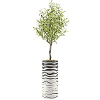SIGNWIN Olive Tree with Wavy Black & White Zebra Pattern Fleck Paint Vase Animals Shapes Minimalism Zen Relax/Calm Multicolor Dark for Living Room, Bedroom, Office - X-Large 5 Feet (60
