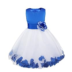 iiniim Girls Petals Tulle Princess Wedding Pageant