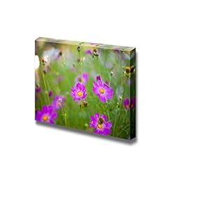 Different Pink Cosmos Flowers Closeup Wall Decor