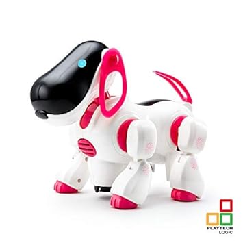 dexter robo dog
