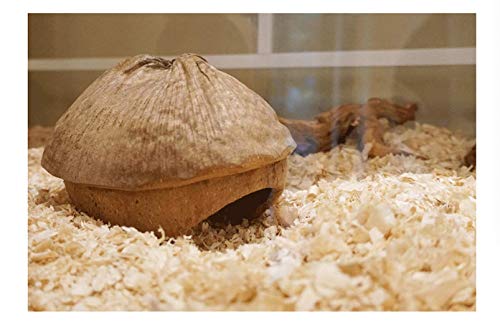 andwe Coconut Hut Small Animal Cage Habitat Decor for Hamster Mice Gerbils - Pocket Pet Coco Original House