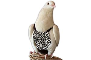 Bev's Bird Boutique Regular Flyper Adjustable Bird Diaper | Reusable, Washable Cloth | Comfort Fit for Parrot, Cockatiels, & Other Small Birds | Fashionable Avian Accessories, Classy Bird Size 8