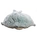 Pillow Pets Pee-Wees - Dolphin