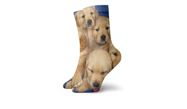 Amazon Com Weedkeycat Cute Golden Retriever Puppy Adult Short