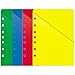 Day-Timer ColorLife Loose-Leaf Slash Pockets, Desk Size, 5.5 x 8.5 Inches, Assorted Colors, 4 Pack (87298)