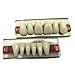 Acrylic Resin Teeth Whiter Denture for Halloween Horror Prop A1 Color