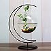 Archi Ornament Display Stand Holder Home Wedding Decoration Rack for Hanging Glass Globe Air Plant Flower Pot Stand Iron Pot Hook Stand Terrarium Witch Ball(Moon)thumb 4