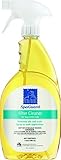 SpaGuard Filter Cleaner (1 Qt)
