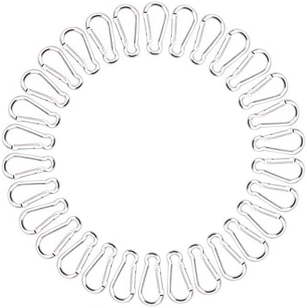 30PCS Small Aluminum Carabiner Lightweight D Shape Spring-Loaded Keychain Clip Hook Carabeaner for Home Outdoor Traveling Camping Hiking Fishing Sport (Silver)