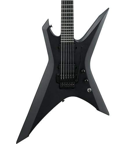Amazon.com: Ibanez Iron Label Xiphos 7-string - Black Flat