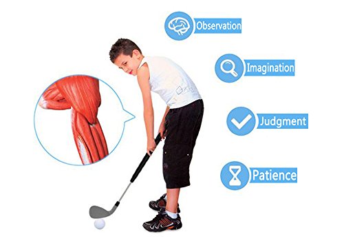 image for CLCCON Golf Toys Set,Golf Practice Ball Game,Outdoor Toys Leisure Spor