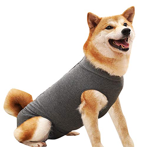 post surgery cat shirt