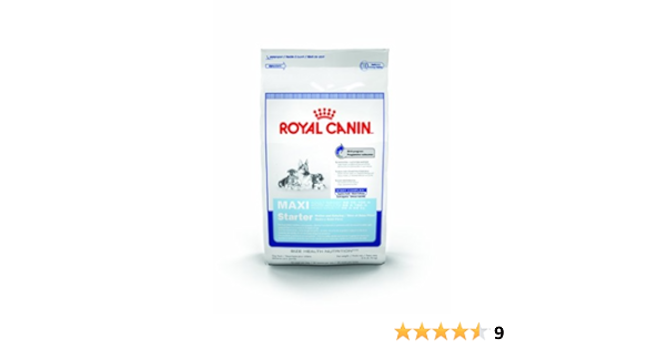 royal canin starter amazon