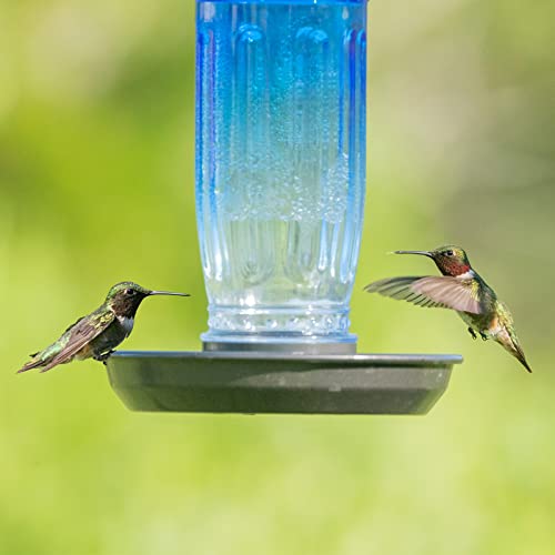 Kingsyard Bird Water Feeder, 16 Oz Glass Bird Water Dispenser Bird Waterer with Metal Hanging