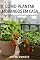 Livro Como Plantar Morangos em Casa : Guia Completo do Plantio à Colheita (Cultivo Urbano Essencial)