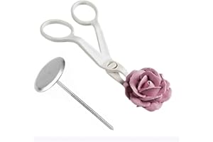 2 Pcs Piping Scissors Nail Rose Decor Lifter Fondant Cake Decorating Tray Cream Transfer Baking Technique Tools Attractive an