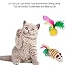 WeFine-Cat-Toys-21-Pcs-Kitten-Toys-Cat-Interactive-Toys-Set-for-Indoor-Cats WeFine Cat Toys 21 Pcs Kitten Toys Cat Interactive Toys Set for Indoor Cats