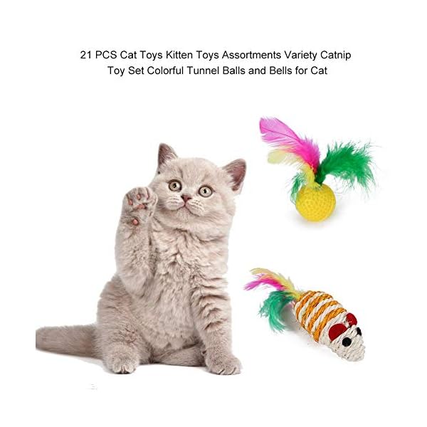 WeFine-Cat-Toys-21-Pcs-Kitten-Toys-Cat-Interactive-Toys-Set-for-Indoor-Cats WeFine Cat Toys 21 Pcs Kitten Toys Cat Interactive Toys Set for Indoor Cats