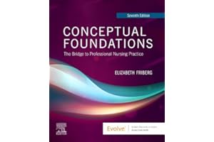 Conceptual Foundations: The Bridge to Professional Nursing Practice