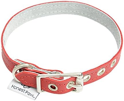 Genuine Leather Designer Dog Collar by Honest Paw - Red - Size 10"-12" - 1/2" Width