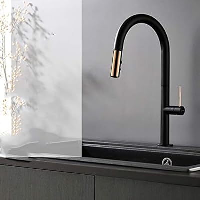 Biccq Kitchen Washing Black Copper Plating Faucet Kitchen Sink