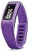 Garmin Vivofit Fitness Band
