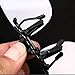 Cyxus 3D Clip-on Glasses Polarized Eyewear for Movie/Cinema (IMAX)