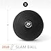 Weighted Slam Ball by Day 1 Fitness – 20 lbs - No Bounce Medicine Ball - Gym Equipment Accessories for High Intensity Exercise, Functional Strength Training, Cardio
