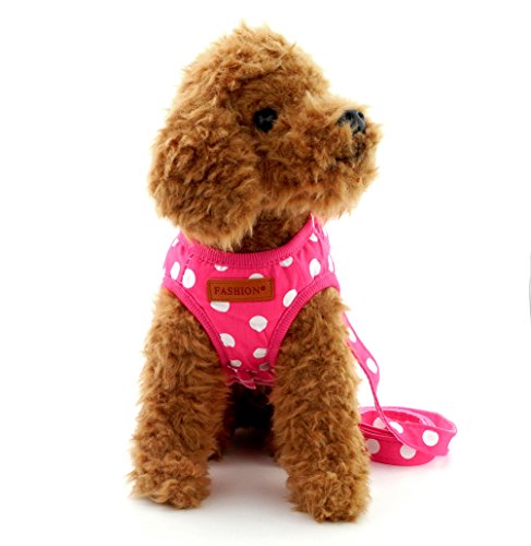 SMALLLEE_LUCKY_STORE Small Dog Cat Sweet Dots Pattern Vest Harness Leash Set Mesh Padded Lead Pink M
