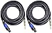 Ignite Pro 2X Speakon to 1/4