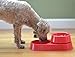 WDD Design Co. The 3-in-1 Ant Free Pet Dish
