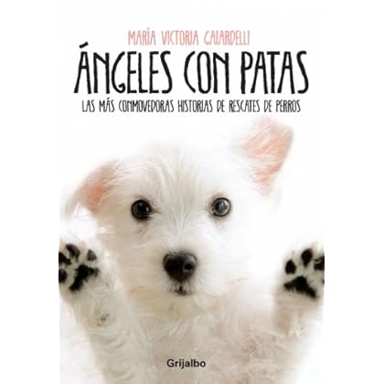 Ángeles con patas: Las más conmovedoras historias de rescates de perros Ángeles con patas: Las más conmovedoras historias de rescates de perros