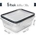 fullstar 15-piece Food storage Containers Set with Lids, Plastic Leak-Proof BPA-Free Containers for Kitchen Organization, Meal Prep, Lunch Containers