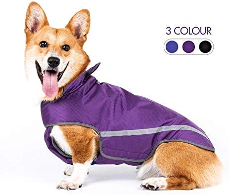 lightweight dog rain jacket