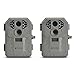Stealth Cam P12 6mp 12IR Digital Camera (2-Pack)