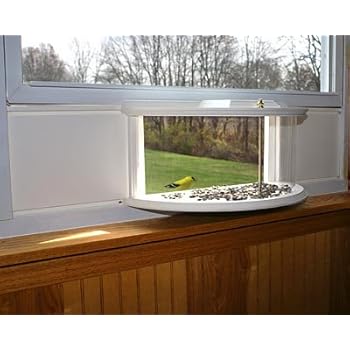 Amazon Com Bestnest Clearview Window Bird Feeder Garden Outdoor