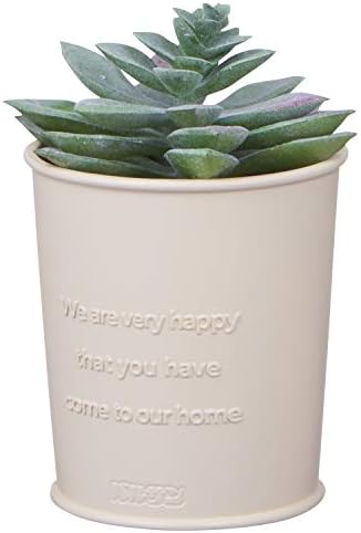 Amazon バルサン 虫こないもん 置くだけ 虫除け 殺虫剤 2日 室内用 無臭 プランツ 電気 電池 火気不要なので安全 静か バルサン 虫除け 忌避用品