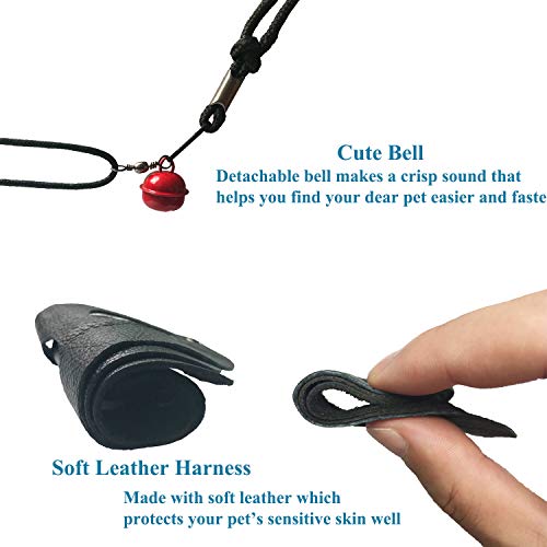image for Lotyes Lizard Leash - Adjustable Bearded Dragon Leash and Harness - Pe